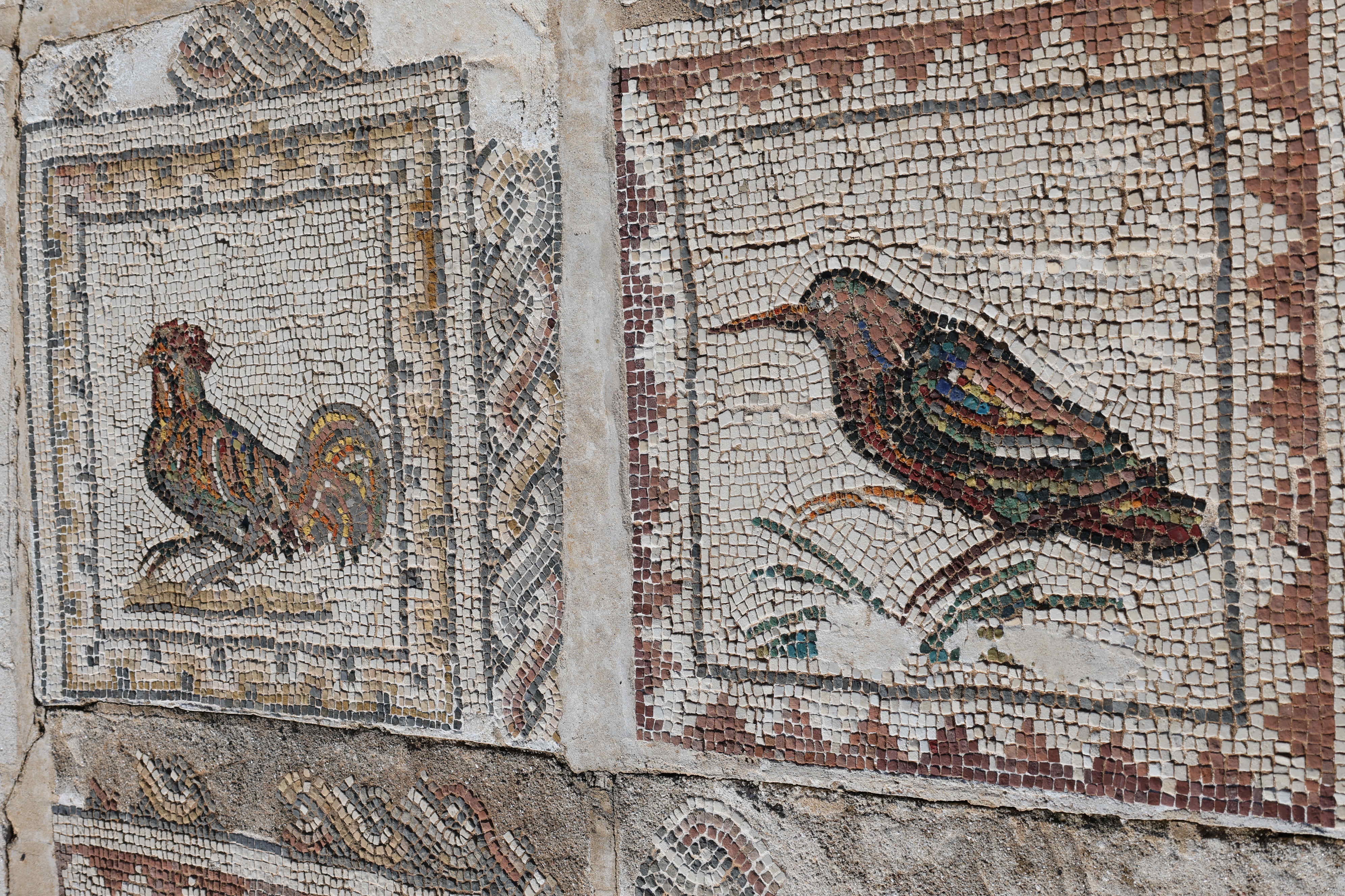 Italica